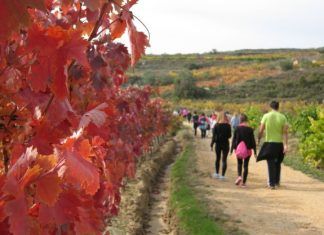 Calados o bodegas subterráneas en Rioja