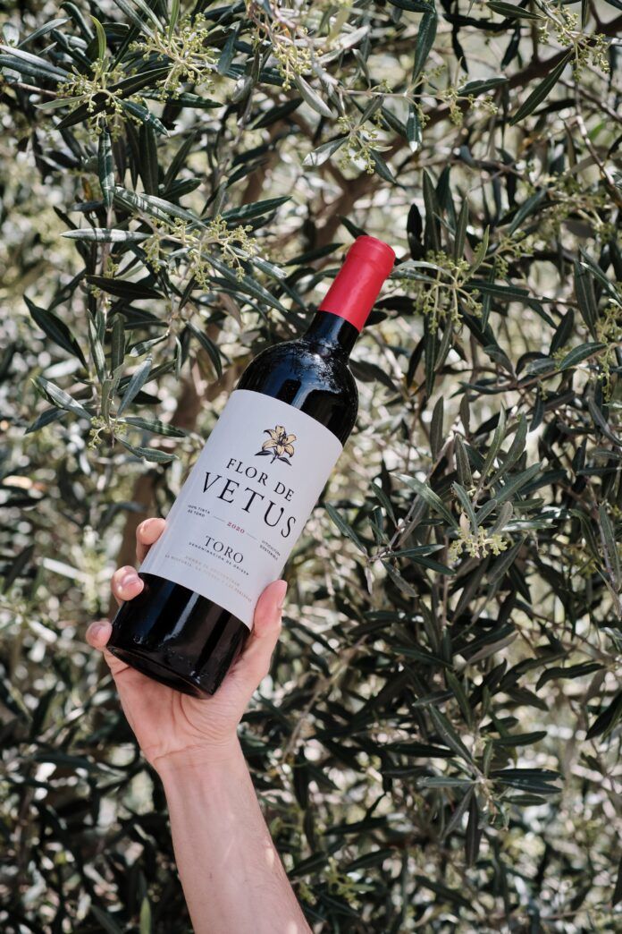 Vino Flor de Vetus